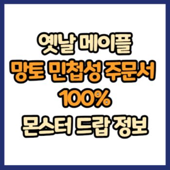 옛날 메이플 망토 민첩성 주문서 100% 드랍 정보