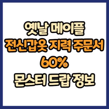 옛날 메이플 전신 갑옷 지력 주문서 60% 드랍 정보